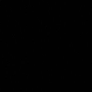 Meet your Posher, Janely